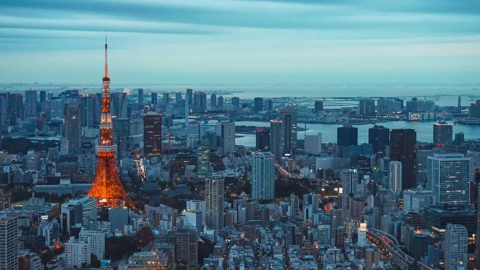 Google y KDDI impulsan startups japonesas con programa de IA avanzado